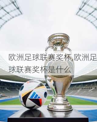 欧洲足球联赛奖杯,欧洲足球联赛奖杯是什么