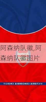 阿森纳队徽,阿森纳队徽图片