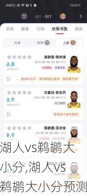 湖人vs鹈鹕大小分,湖人vs鹈鹕大小分预测