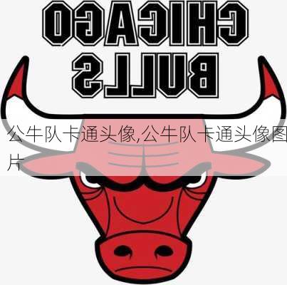 公牛队卡通头像,公牛队卡通头像图片