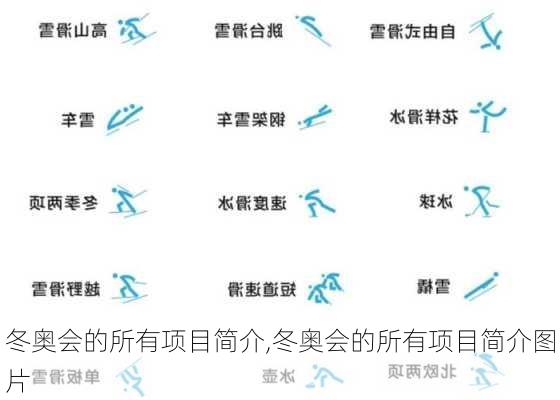 冬奥会的所有项目简介,冬奥会的所有项目简介图片