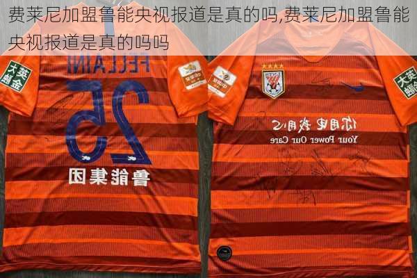 费莱尼加盟鲁能央视报道是真的吗,费莱尼加盟鲁能央视报道是真的吗吗