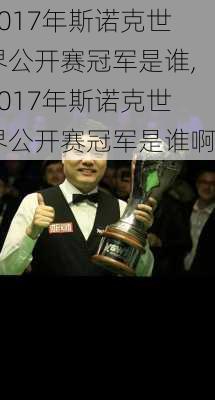 2017年斯诺克世界公开赛冠军是谁,2017年斯诺克世界公开赛冠军是谁啊