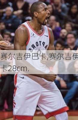 赛尔吉伊巴卡,赛尔吉伊巴卡28cm.