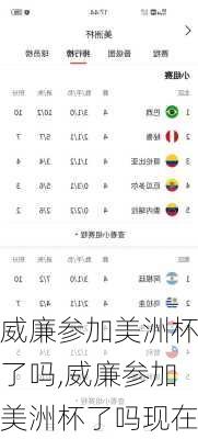 威廉参加美洲杯了吗,威廉参加美洲杯了吗现在