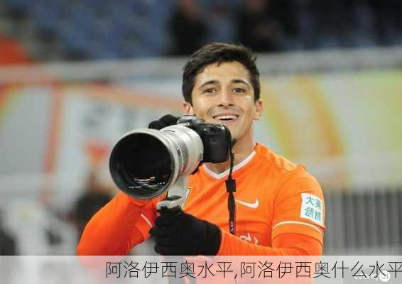 阿洛伊西奥水平,阿洛伊西奥什么水平