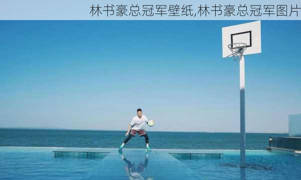 林书豪总冠军壁纸,林书豪总冠军图片