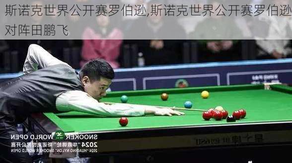 斯诺克世界公开赛罗伯逊,斯诺克世界公开赛罗伯逊对阵田鹏飞