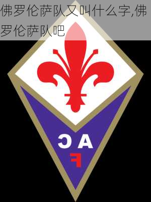 佛罗伦萨队又叫什么字,佛罗伦萨队吧