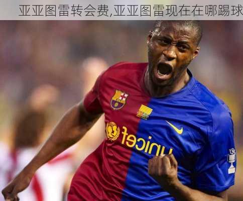 亚亚图雷转会费,亚亚图雷现在在哪踢球