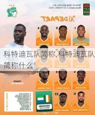科特迪瓦队简称,科特迪瓦队简称什么