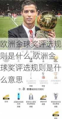 欧洲金球奖评选规则是什么,欧洲金球奖评选规则是什么意思