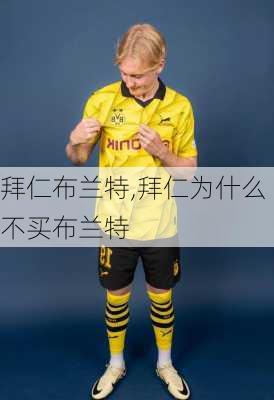 拜仁布兰特,拜仁为什么不买布兰特