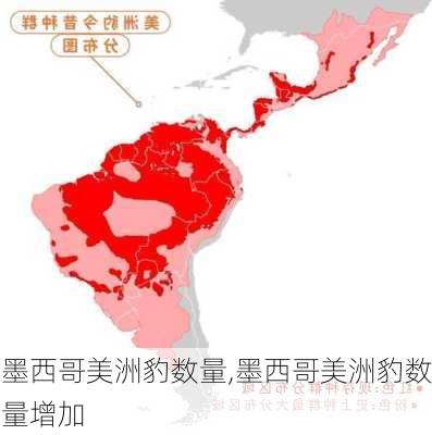 墨西哥美洲豹数量,墨西哥美洲豹数量增加
