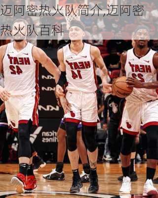 迈阿密热火队简介,迈阿密热火队百科