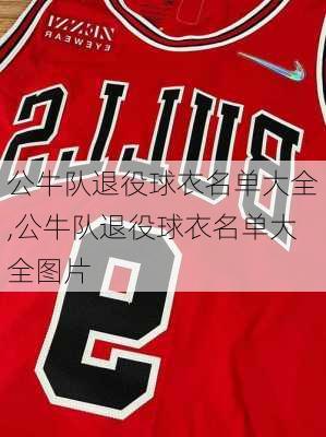 公牛队退役球衣名单大全,公牛队退役球衣名单大全图片