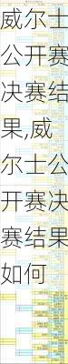 威尔士公开赛决赛结果,威尔士公开赛决赛结果如何