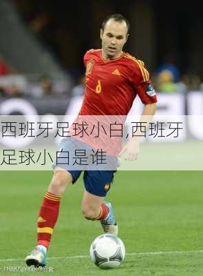 西班牙足球小白,西班牙足球小白是谁