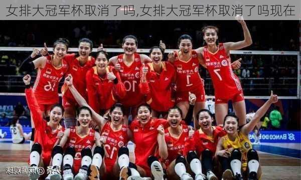 女排大冠军杯取消了吗,女排大冠军杯取消了吗现在