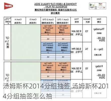 汤姆斯杯2014分组抽签,汤姆斯杯2014分组抽签怎么抽