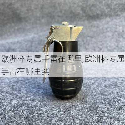 欧洲杯专属手雷在哪里,欧洲杯专属手雷在哪里买