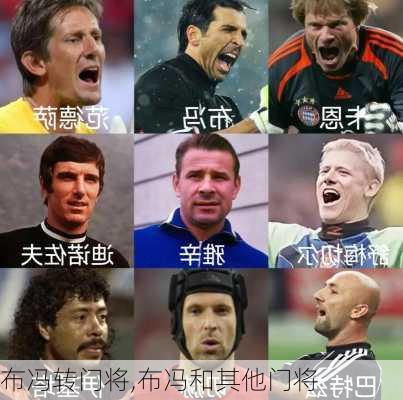 布冯转门将,布冯和其他门将