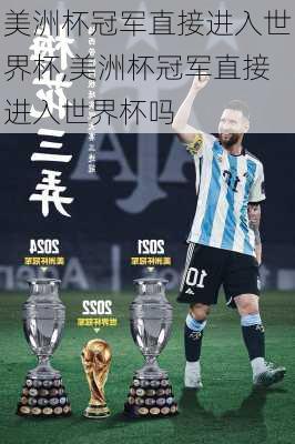 美洲杯冠军直接进入世界杯,美洲杯冠军直接进入世界杯吗
