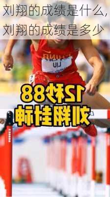 刘翔的成绩是什么,刘翔的成绩是多少