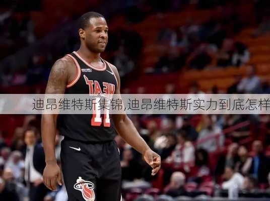 迪昂维特斯集锦,迪昂维特斯实力到底怎样