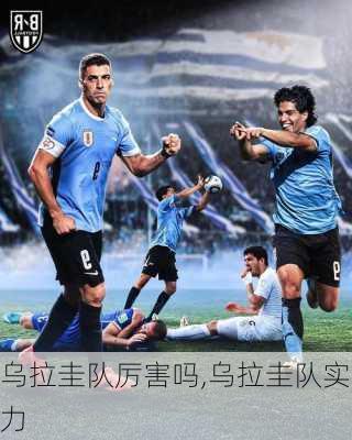 乌拉圭队厉害吗,乌拉圭队实力