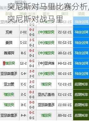 突尼斯对马里比赛分析,突尼斯对战马里