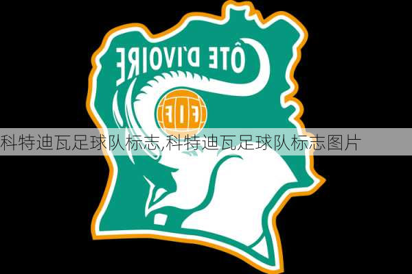 科特迪瓦足球队标志,科特迪瓦足球队标志图片