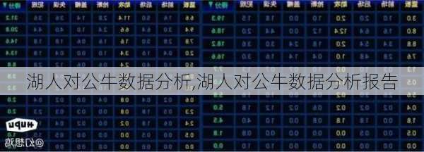 湖人对公牛数据分析,湖人对公牛数据分析报告