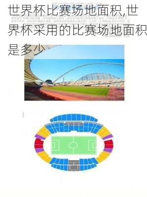 世界杯比赛场地面积,世界杯采用的比赛场地面积是多少