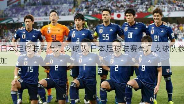 日本足球联赛有几支球队,日本足球联赛有几支球队参加