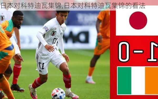 日本对科特迪瓦集锦,日本对科特迪瓦集锦的看法