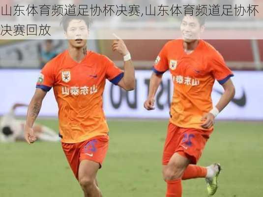 山东体育频道足协杯决赛,山东体育频道足协杯决赛回放
