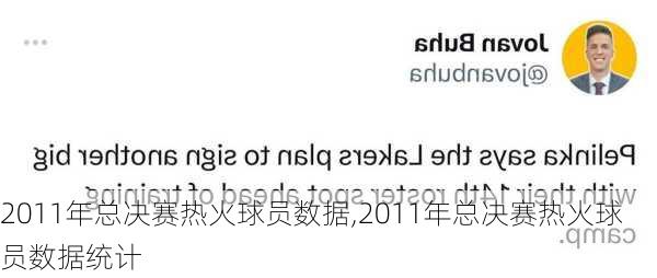 2011年总决赛热火球员数据,2011年总决赛热火球员数据统计