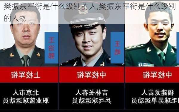 樊振东军衔是什么级别的人,樊振东军衔是什么级别的人物