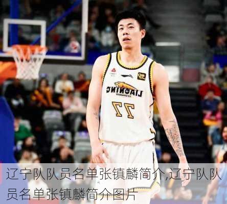 辽宁队队员名单张镇麟简介,辽宁队队员名单张镇麟简介图片