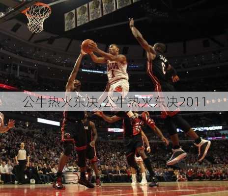 公牛热火东决,公牛热火东决2011