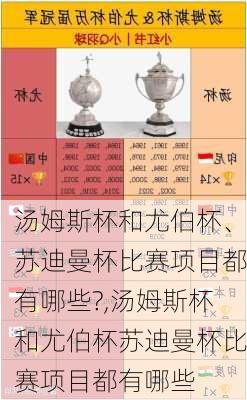 汤姆斯杯和尤伯杯、苏迪曼杯比赛项目都有哪些?,汤姆斯杯和尤伯杯苏迪曼杯比赛项目都有哪些