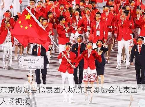 东京奥运会代表团入场,东京奥运会代表团入场视频
