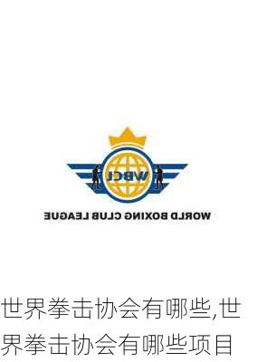 世界拳击协会有哪些,世界拳击协会有哪些项目