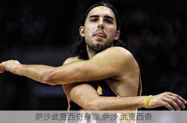 萨沙武贾西奇身高,萨沙 武贾西奇