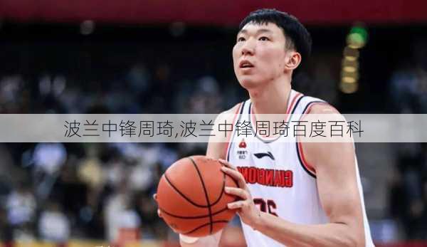 波兰中锋周琦,波兰中锋周琦百度百科