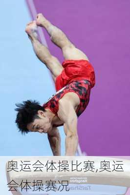 奥运会体操比赛,奥运会体操赛况