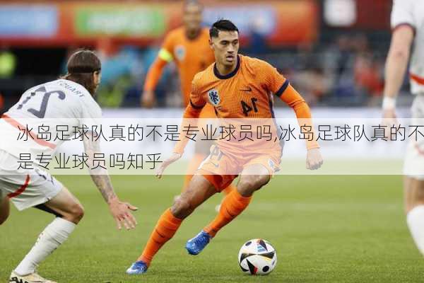 冰岛足球队真的不是专业球员吗,冰岛足球队真的不是专业球员吗知乎