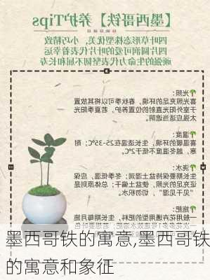 墨西哥铁的寓意,墨西哥铁的寓意和象征