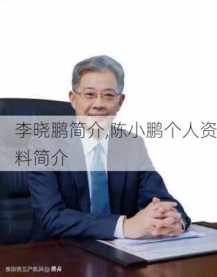 李晓鹏简介,陈小鹏个人资料简介